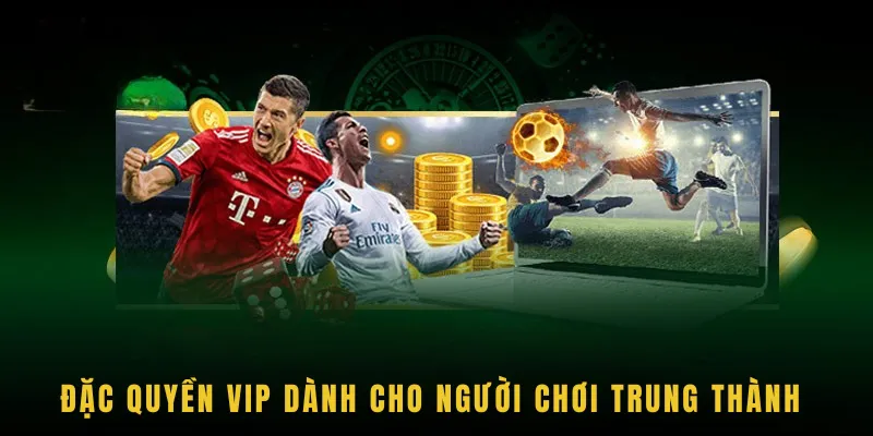 Đặc quyền VIP dành cho người chơi trung thành