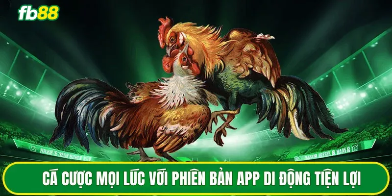 Cá cược mọi lúc với phiên bản app di động tiện lợi